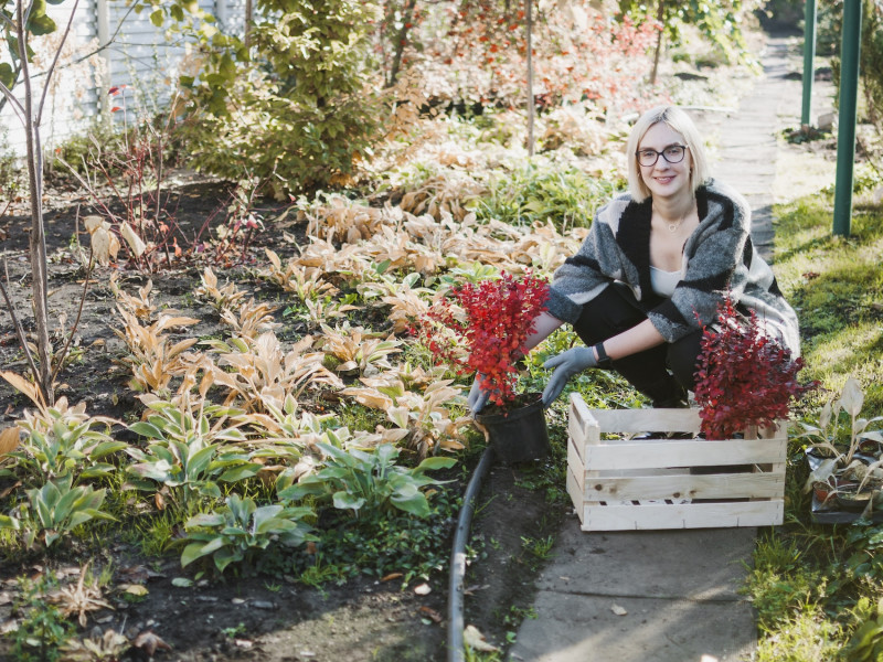 Erdőkert tervezés Aszód Erdőkert tervezés Aszód