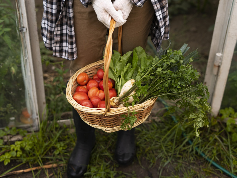 Erdőkert tervezés Dabas Erdőkert tervezés Dabas
