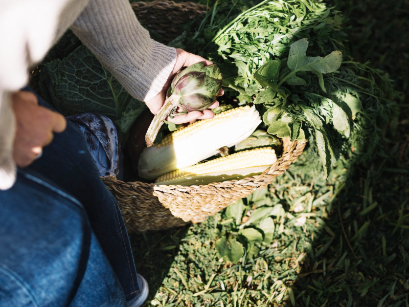 Erdőkert tervezés Nagykáta Erdőkert tervezés Nagykáta