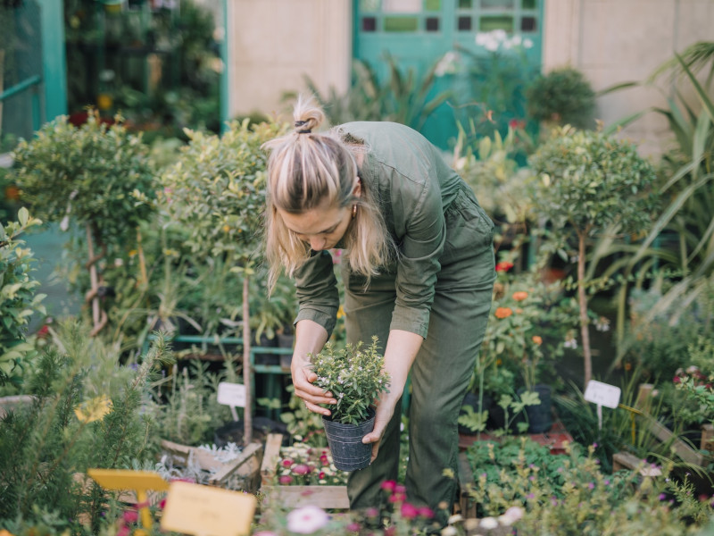 Erdőkert tervezés Biatorbágy