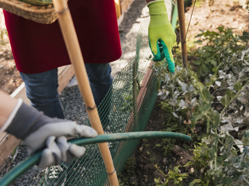 Erdőkert tervezés Göd Erdőkert tervezés Göd