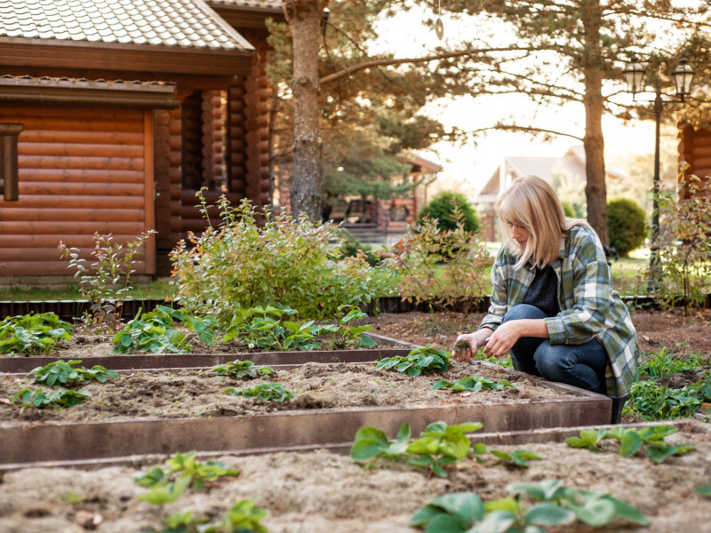 Erdőkert tervezés Kiskunlacháza Erdőkert tervezés Kiskunlacháza