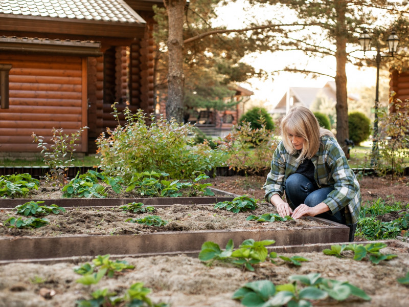 Erdőkert tervezés Kistarcsa Erdőkert tervezés Kistarcsa