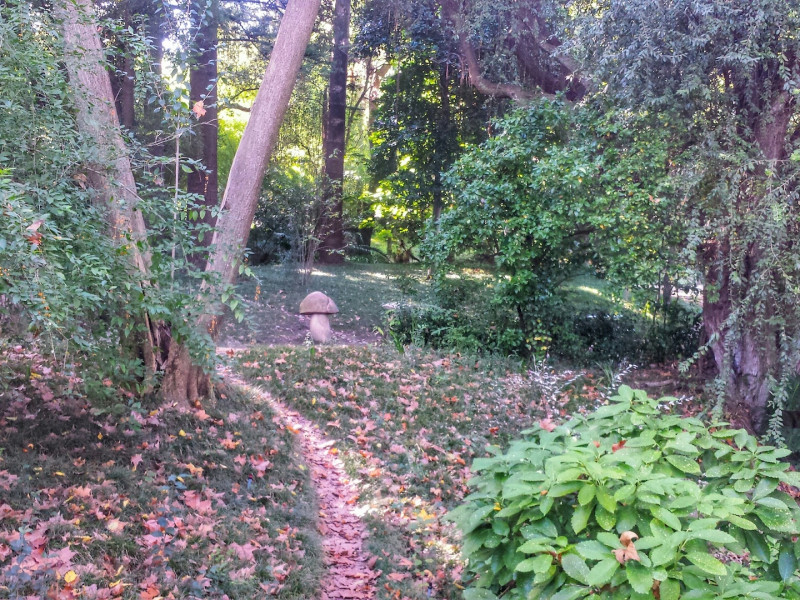 Erdőkert tervezés Szigethalom