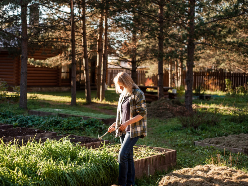 Erdőkert tervezés Üllő Erdőkert tervezés Üllő