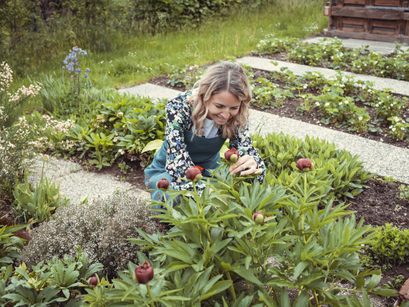 Erdőkert tervezés Budapest