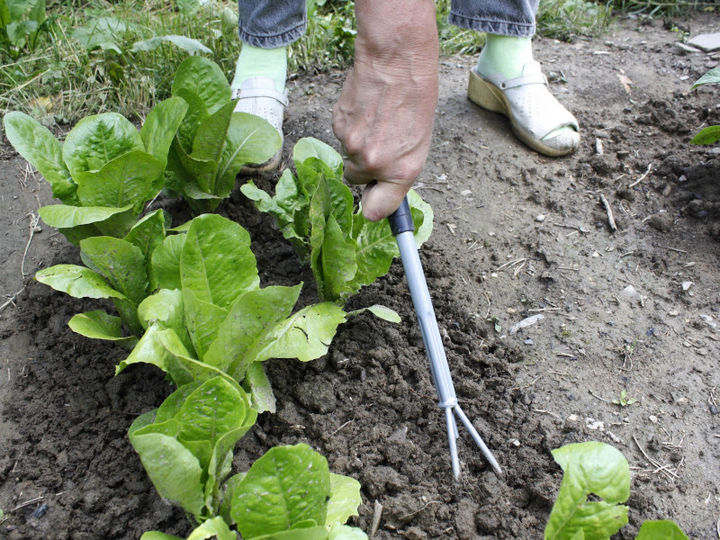 Erdőkert tervezés Jászapáti Erdőkert tervezés Jászapáti