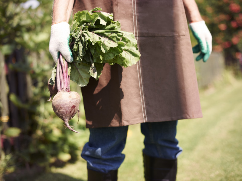 Erdőkert tervezés Jászárokszállás Erdőkert tervezés Jászárokszállás