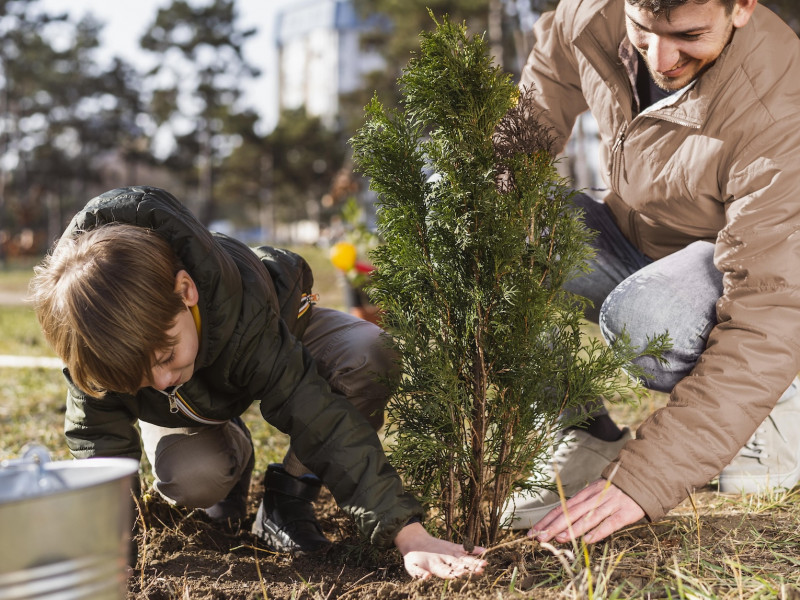 Erdőkert tervezés Rákóczifalva Erdőkert tervezés Rákóczifalva