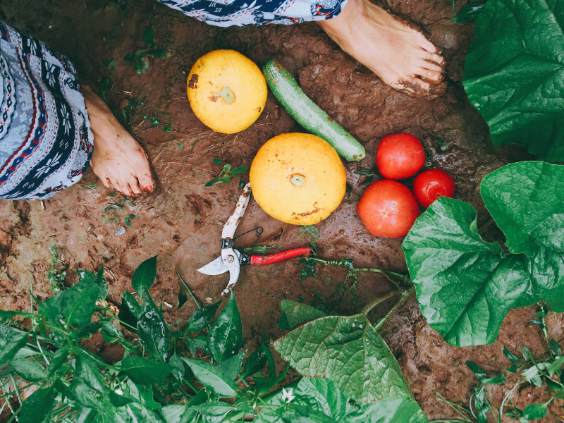Erdőkert tervezés Szeged Erdőkert tervezés Szeged