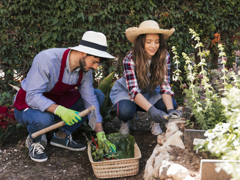 Erdőkert tervezés Sándorfalva Erdőkert tervezés Sándorfalva