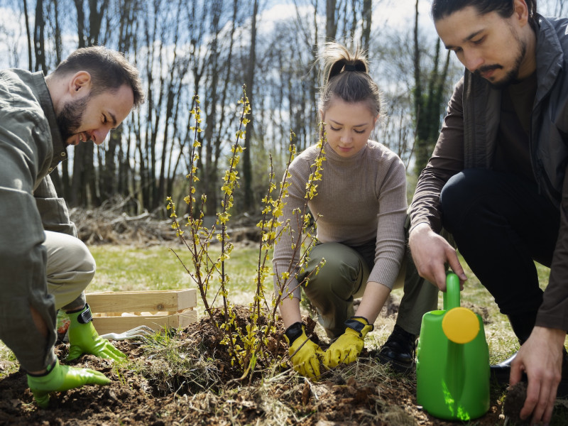 Erdőkert tervezés Gyomaendrőd Erdőkert tervezés Gyomaendrőd
