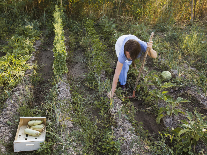 Erdőkert tervezés Kiskőrös Erdőkert tervezés Kiskőrös
