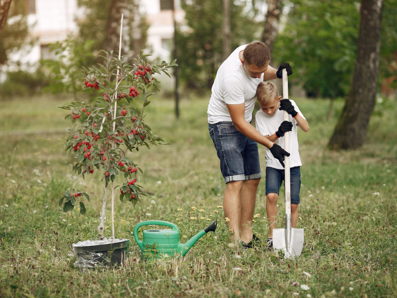 Erdőkert tervezés Lajosmizse
