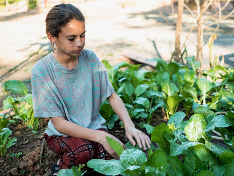Erdőkert tervezés Szabadszállás Erdőkert tervezés Szabadszállás