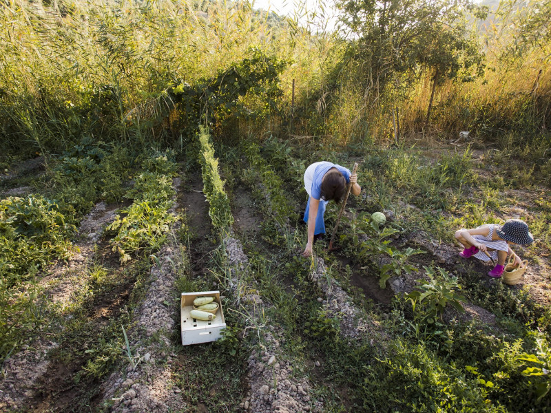 Erdőkert tervezés Biharkeresztes Erdőkert tervezés Biharkeresztes