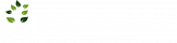 Erdőkert tervezés